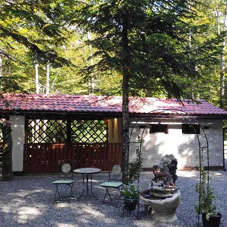 Casa de Férias In 53135